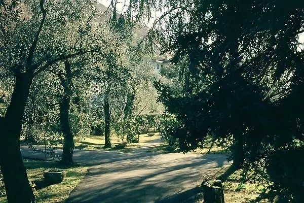 Orizzonte 말세진느